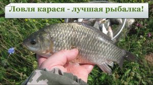 Отличный клёв карася на маховую удочку. Взял карп!