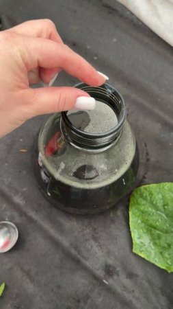 В июне - июле ОГУРЦЫ ТРЕБУЮТ ЭТО!