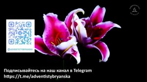 Субботнее богослужение 31.05.2025 //  // Горюк Виктор // В путь с верой // адвентисты Брянска