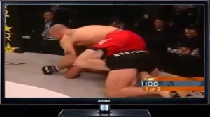 Бои Без Правил 2017