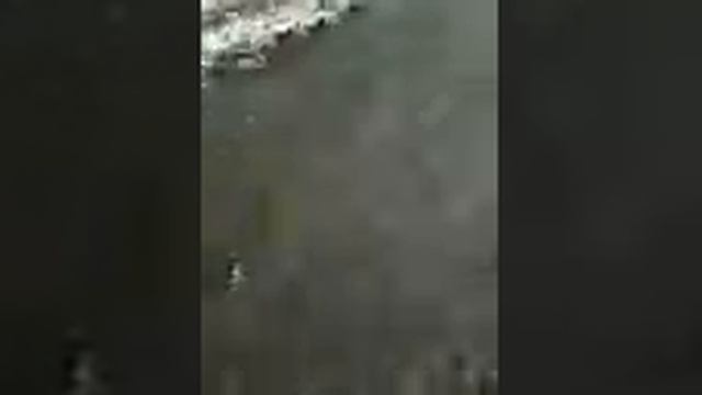 Моими глазами 1 серия смотреть онлайн