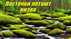 Ласточки низко летают
