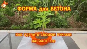 Форма для бетона своими руками идеи для дачи и сада вариант (220)