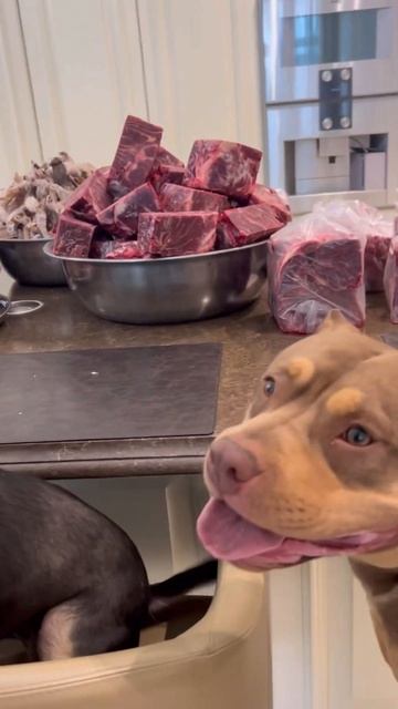 ТРИ РОДНЫЕ СЕСТРЫ…Беларусь-Украина-Россия…МИРНОГО Н смотреть онлайн