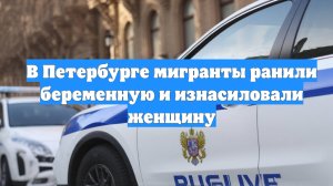 В Петербурге мигранты ранили беременную и изнасиловали женщину