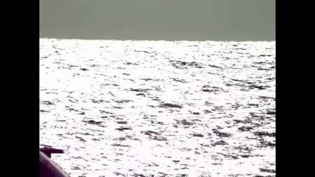 Evpatoriya 2008 - Евпатория 2008 смотреть онлайн