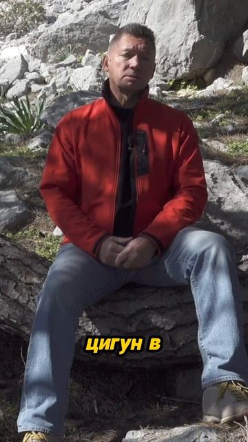 Дыхательные техники цигун для здоровья смотреть онлайн