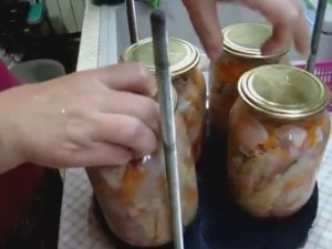 Куры Бройлеры Хаббарт. Как приготовить куриную тушёнку в домашних условиях.