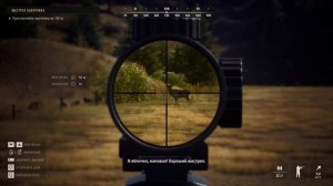 НОВАЯ ОХОТА \WAY OF THE HUNTER\ Лучше the Hunter Call of the Wild?