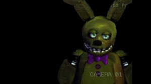 спрингбонни