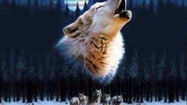 волчий дождь не уходи смотреть онлайн