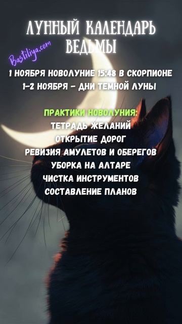 НОВОЛУНИЕ 1 ноября 24✨ВЕДЬМИН календарь #растущаялуна