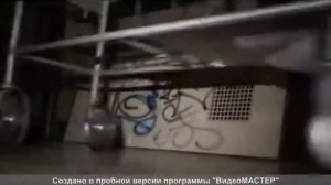 Искатели могил 2010