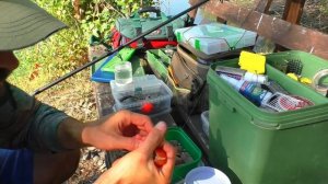 Платник, рыбы много, но приходится потеть, волос, флет,