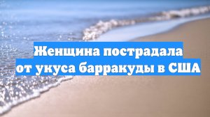 Женщина пострадала от укуса барракуды в США