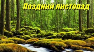 Поздний листопад