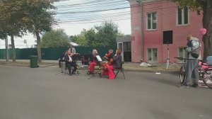 Музыка на улицах Курска🎵