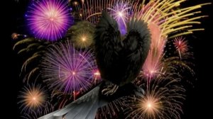 Крутая птичка и её история