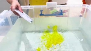 Мисс Кэйти и Мистер Макс (Miss Katy) Катя и Макс играют с желейной водой