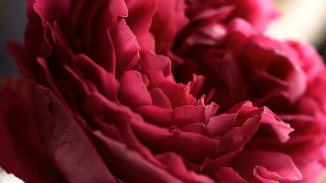 Слушать новую песню и видео онлайн смотреть онлайн