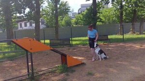 Умка 3 года 
Помесь
Первые прохождения змейки и бум с командами.