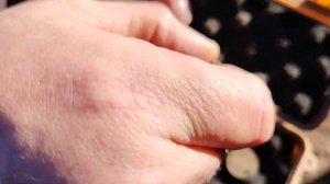 Царские серебряные монеты по весне попёрли