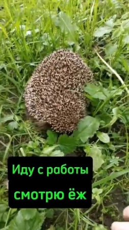 По дороге домой😎