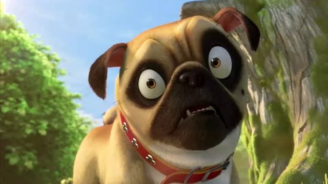 Реальная белка 2 (2017) О съёмках смотреть онлайн