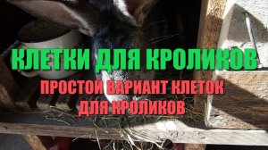 КЛЕТКИ ДЛЯ КРОЛИКОВ. Самый простой вариант изготовления клеток для кроликов