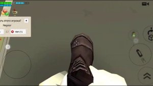 🤣САМЫЕ СТРАННЫЕ НИКИ В ЧИКЕН ГАН