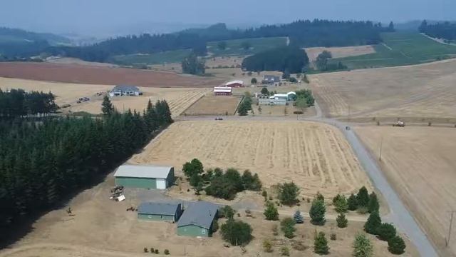 Prodigy (Чудо) смотреть онлайн