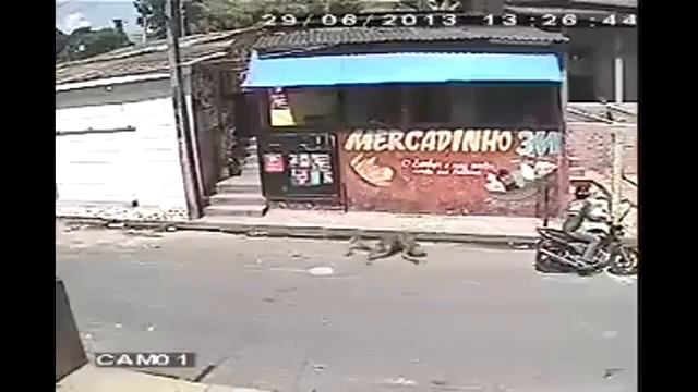 Ограбление по бразильски Видео из +100500 смотреть онлайн