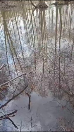 Природа Нижегородской области