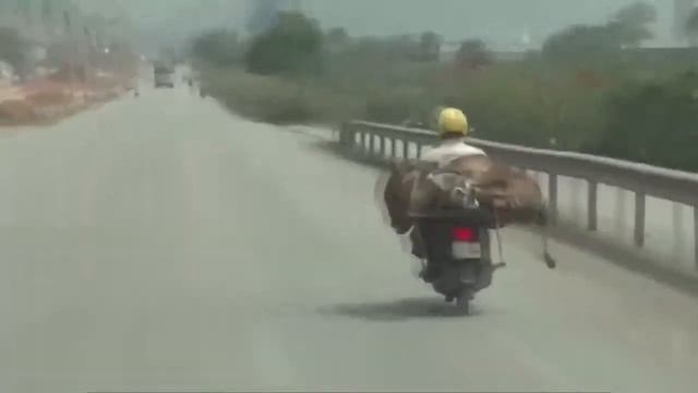 Soul Plane fun приколы смотреть онлайн