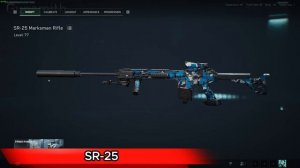 DELTA FORCE | ХОРОШАЯ МАКСМАНКА СБОРКА SR-25