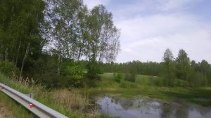 Красивая запруда 30 мая