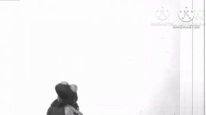 Как Поймать Перо Жар-птицы