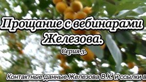 Прощание с вебинарами Железова. Серия 3.