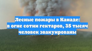 Лесные пожары в Канаде: в огне сотни гектаров, 35 тысяч человек эвакуированы