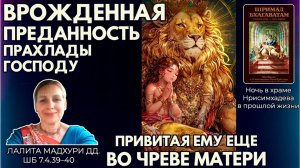 Врожденная преданность Прахлады Господу, привитая еще во чреве матери. Лалита Мадхури. ШБ 7.4.39–40