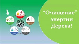 01 Очищение энергии Дерева