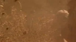 ЧЁРНЫЙ ЯСТРЕБ 2 (Боевик) Фильм