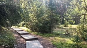 31-05-2025 БЕСОВ НОС