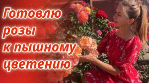Уход за розами в начале лета: ВРЕДИТЕЛИ, БОЛЕЗНИ, ПОДКОРМКИ