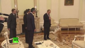 ≪ВЕРНЫЕ ДРУЗЬЯ≫ БАМ Таксимо Татьяна Шаманская
АВТОР: Комп. Павел Толмачёв. Исп. Анастасия Шаманская