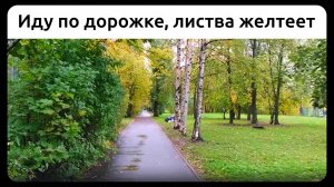 Иду по дорожке, листва желтеет, Петербург. 14 октября 2023.