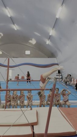 спортивная гимнастика