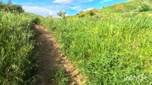 велопрогулка по армавиру