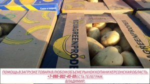 31-05-2025г Цены сегодня рынок Копани Херсонская область.
