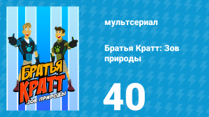 Братья Кратт: Зов природы 1 сезон 40 серия «Сбор пернатых хищников» (мультсериал, 2011)